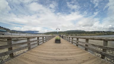 Pier at Rocky Point Park.  Port Moody, BC, Canada

#portmoody
#rockypoint
