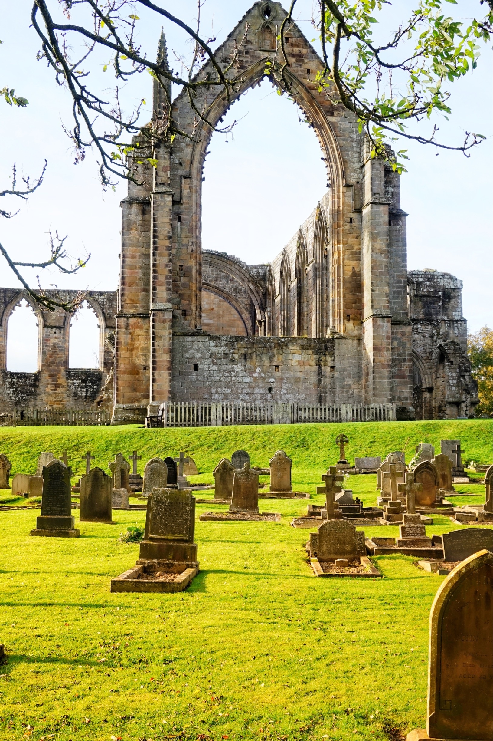 Foto tomada por Michael Brassington