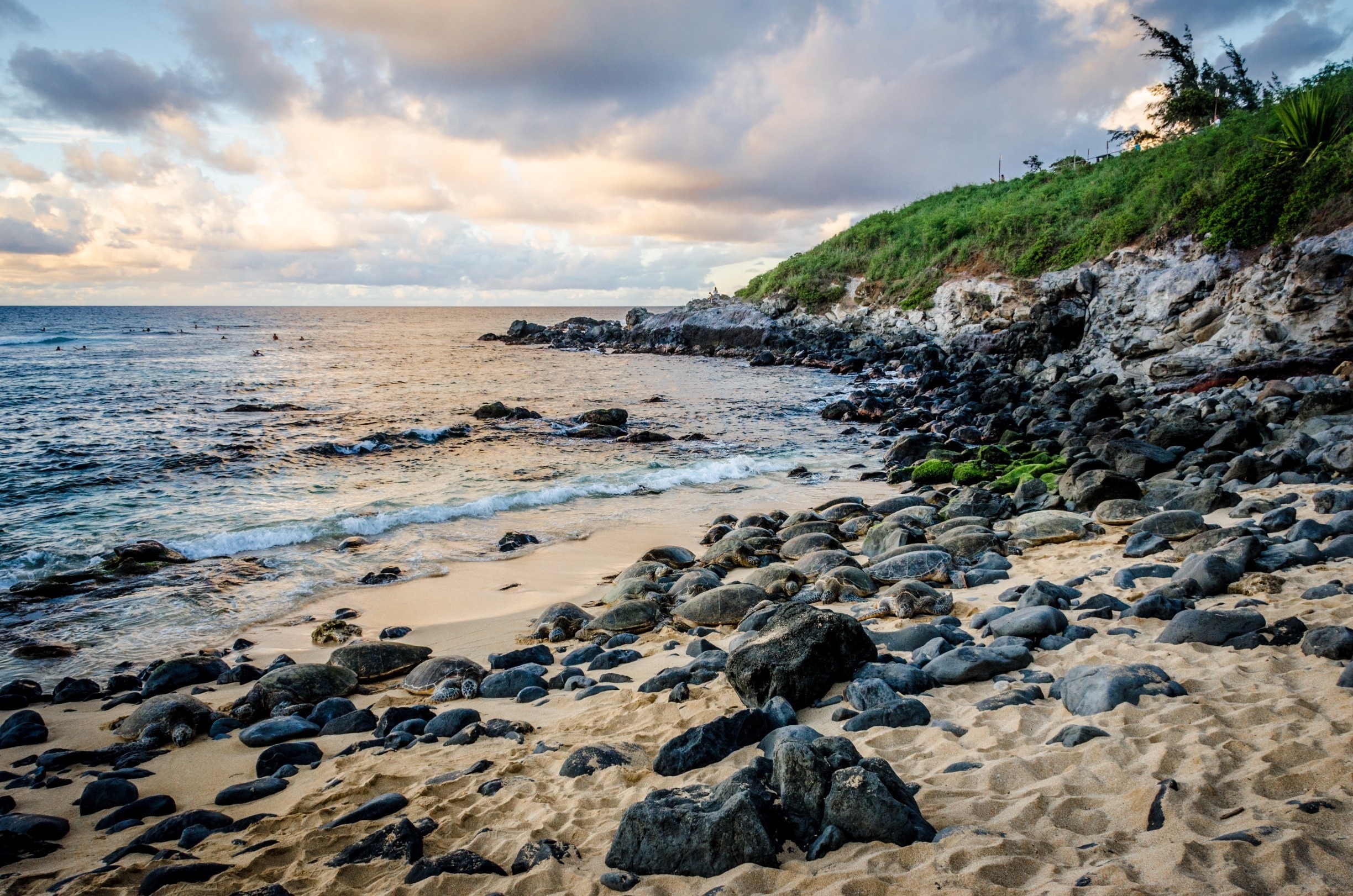 Hookipa Beach Park in Paia - Tours and Activities | Expedia.ca