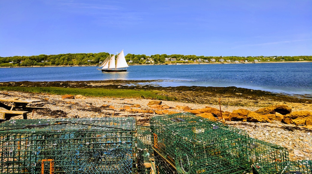 Kuva: The Maine Way of Life