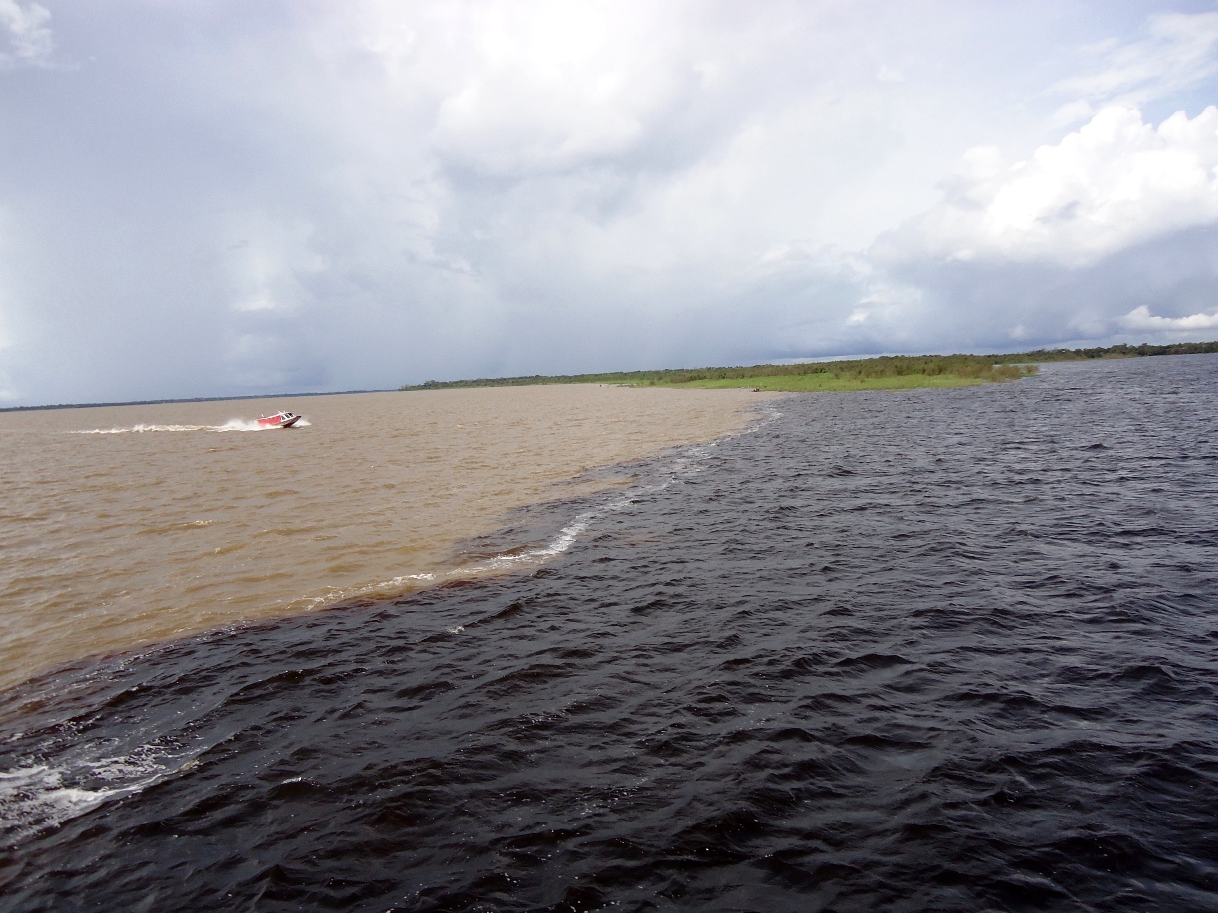 In Manaus, Brazil, the Amazon River and the Rio Negro merge. The Amazon is the sandy colored water, and the Rio Negro is the dark colored water. For almost 4 miles the two rivers run side by side without mixing. It's one of those things you almost have to see to believe. I saw it with my own two blue eyes, so I do believe!!