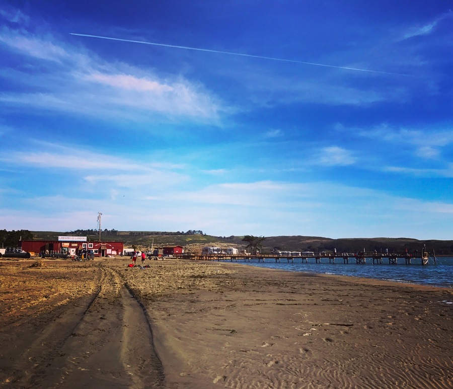 Amazing camping spot. Crabbing, camping, running, cows, elk, dog beach fishing