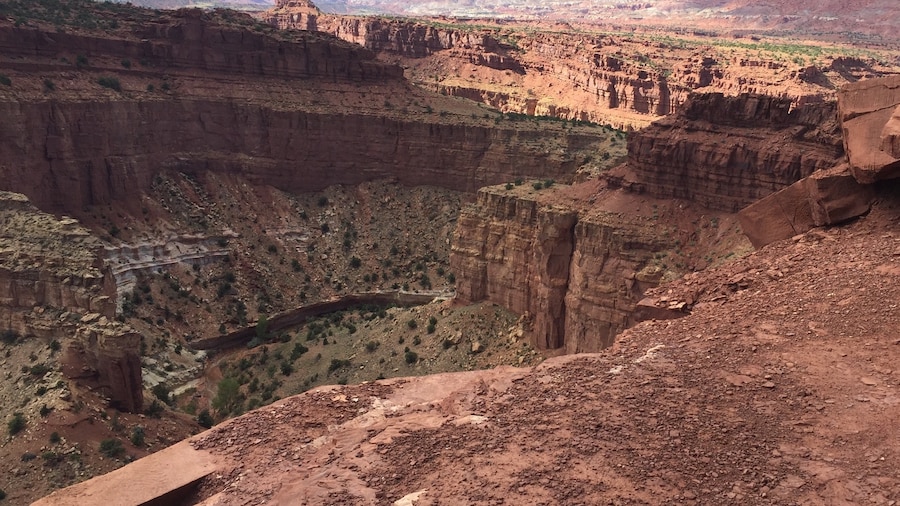 Goosenecks Overlook