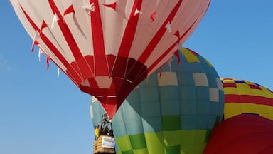Metamora Hot Air Balloons launch to show is mesmerising!