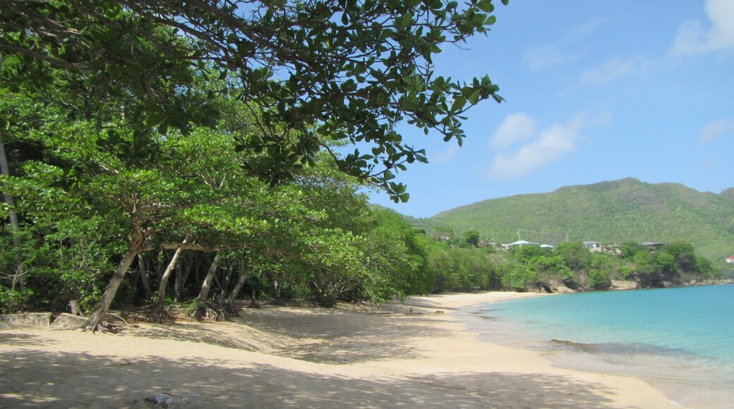 Union Vale, Bequia Island, Grenadines, St. Vincent and the Grenadines