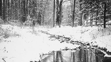 Finally some #snow action in #VA
@ig_virginia #reflection #virginia #woods #forest #ignova #water #stream #puddlegram #GoToVA #nova #mclean #exploreva #VAoutdoors #bw_lover #vaisforlovers #loveva #branches #bns_landscape #igersva #forest #seevirginia #snowcovered #winterscene #lovenova #757collective #venturingvirginia #outforawalk