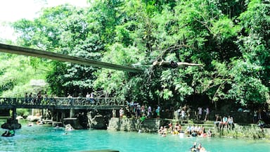 Just about a fifteen-minute ride from the town proper of Pandan, province of Antique, this cold river spring will provide beach goers a new and cooler experience (especially those who visit Boracay island, this town is roughly less than an hour away). #roadtrip