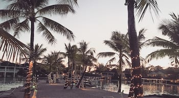 Default Image