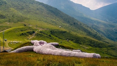 Gelitin, a group of artists from Vienna, has erected a pink bunny measuring 200 feet in length (about 60 metres) on the side of a northern Italian mountain.

The artwork, titled "Hase" (which translates simply as "Hare"), is located at a height of 1600m on the mountain Colletto Fava where there is a ski resort.  This is near the village of Artesina, Piemonte, Italy. 

#weird #wonderful #italy #travel #adventure