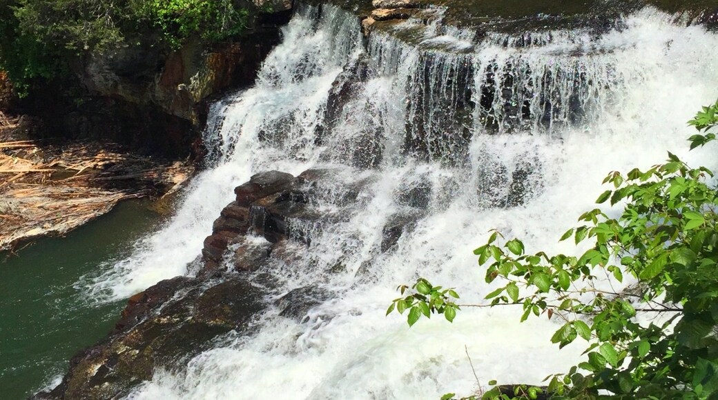 Visit Tullahoma Best of Tullahoma Tourism Expedia Travel Guide