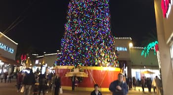 Longest Christmas tree in the world...