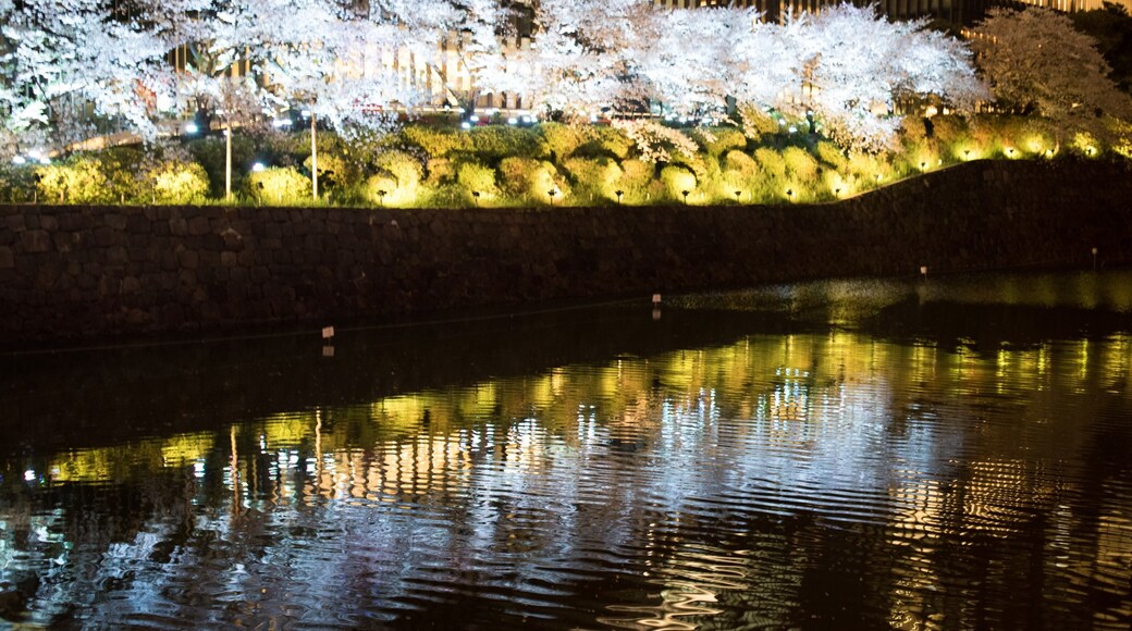 ภาพโดย Bill Stamatis