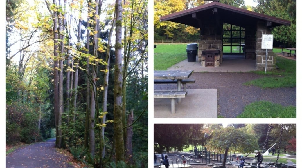Ravenna Park, Seattle, Washington, United States of America