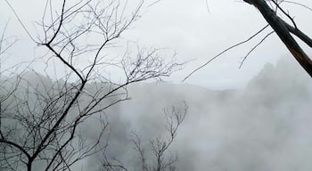 Hot hot hot springs #rotorua #newzealand #spooky 