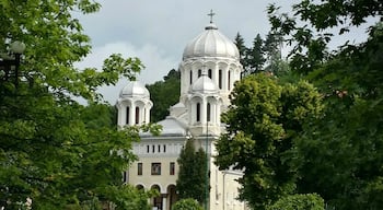 Nicolae Titulescu Park is a beautiful place to go for a run, stroll or watch the old men play Okey. Just outside the centre of Bra?ov.