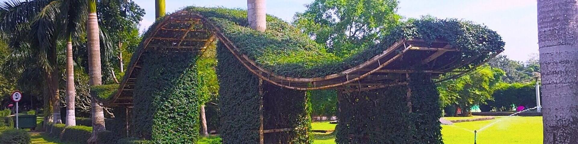 The views from my visit in the park,