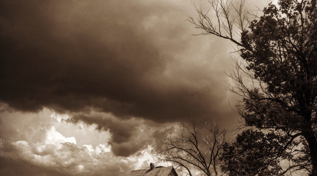 Photo by Erick Huling