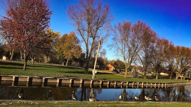 “ Family Fun before the winter wind”



This is a wonderful park along your drive through this quaint little town. 

Omro Wisconsin is a wonderful gem and it is the perfect example of what small town living is about 