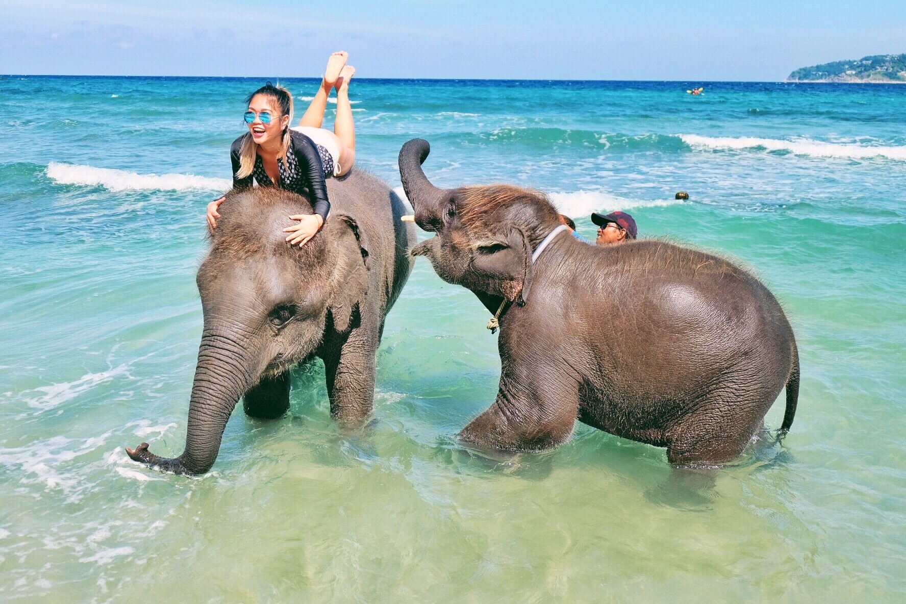 Swimming with my not so small beach babes🐘