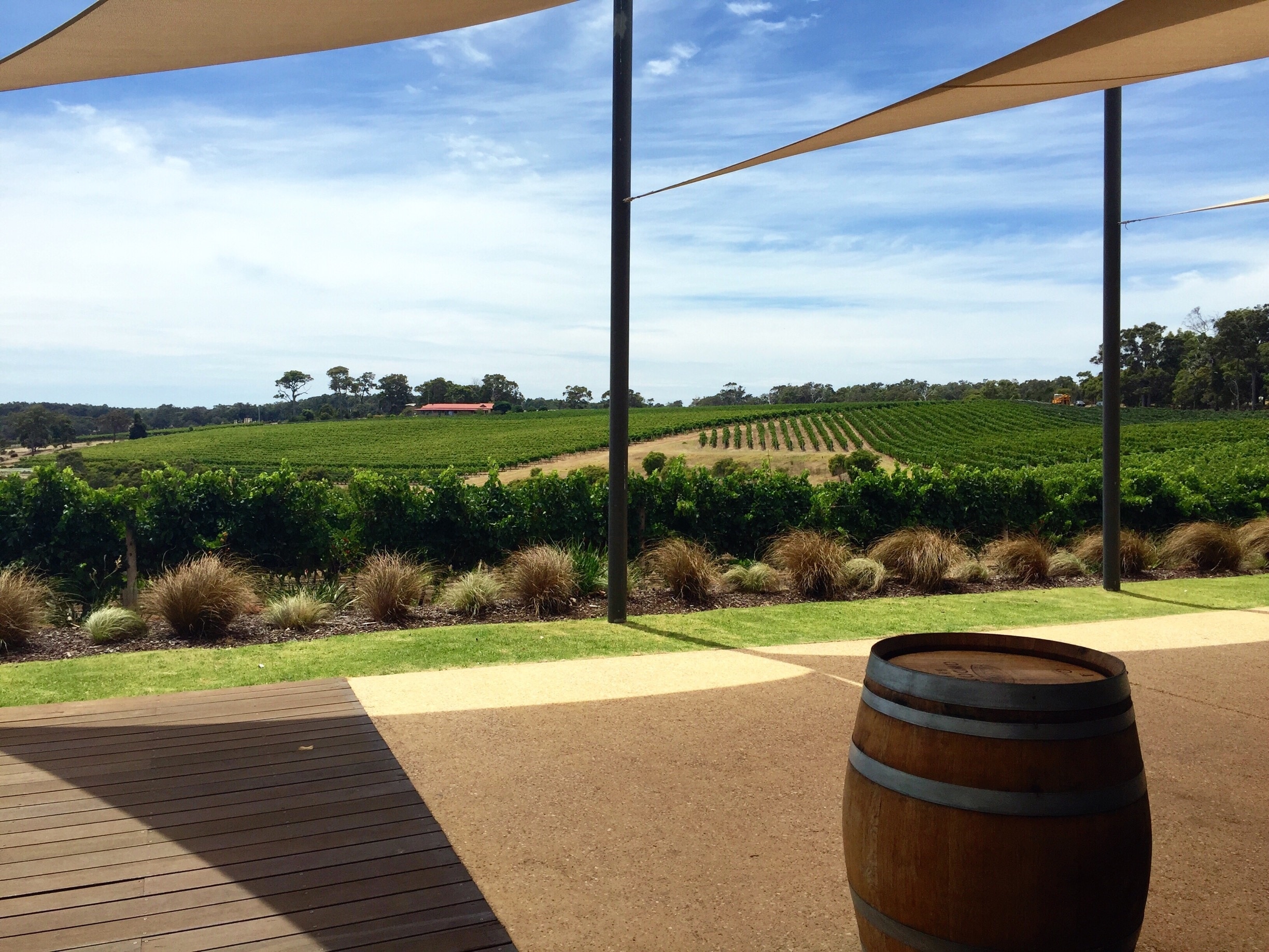 Will's Domain is one of my favourite lunch spots in #MargaretRiver #Australia. Fabulous food, great wine, stunning views and a playground for the kids. 