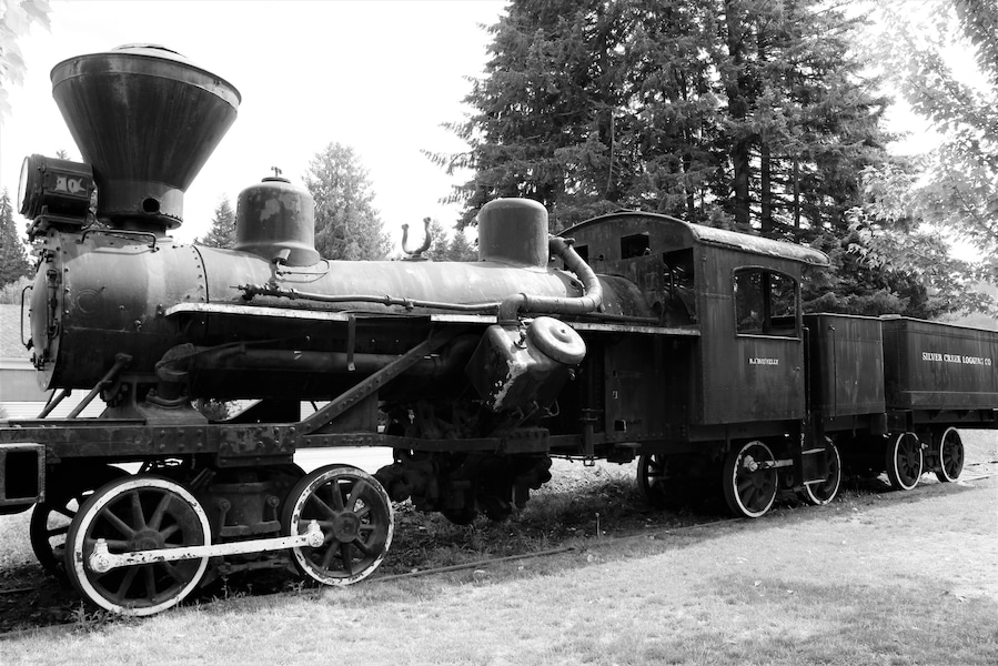 A neat little stop for anyone who loves trains and history. Catch it on the way to Mt.Rainier because on the way back your going to be very tired!