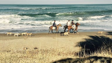 Locals traveling the beach in Nicaragua. You can rent a horse and guide to take your own ride up and down the coast of Gran Pacifica.