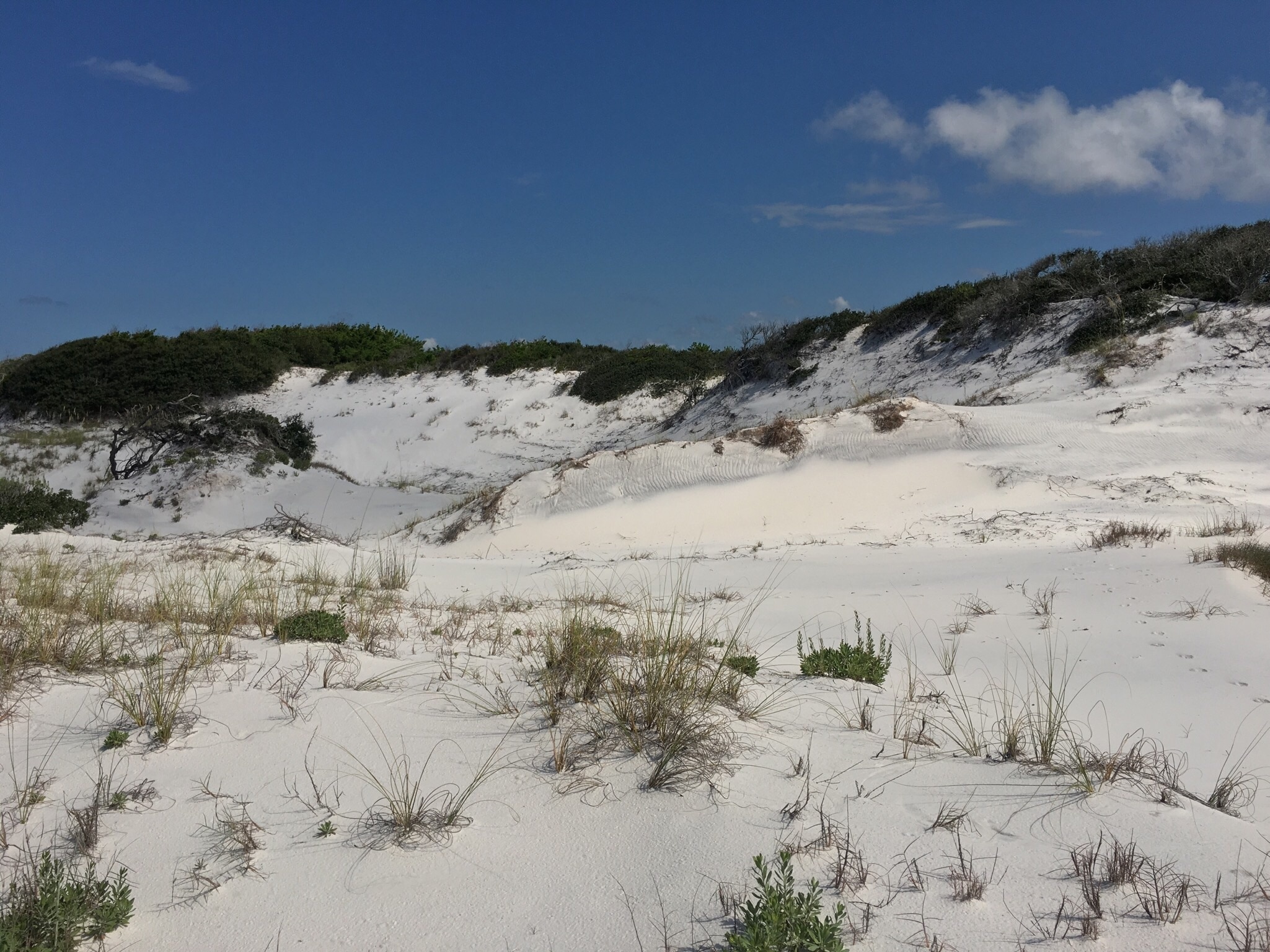 The sand is so white it almost looks like fresh powder. 