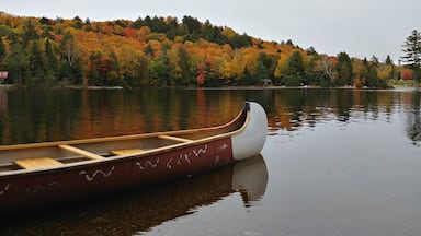 The Algonquin area of Ontario is the best place to explore the stunning fall foliage! #GreatOutdoors