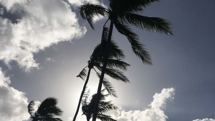 Neal S. Blaisdell Park