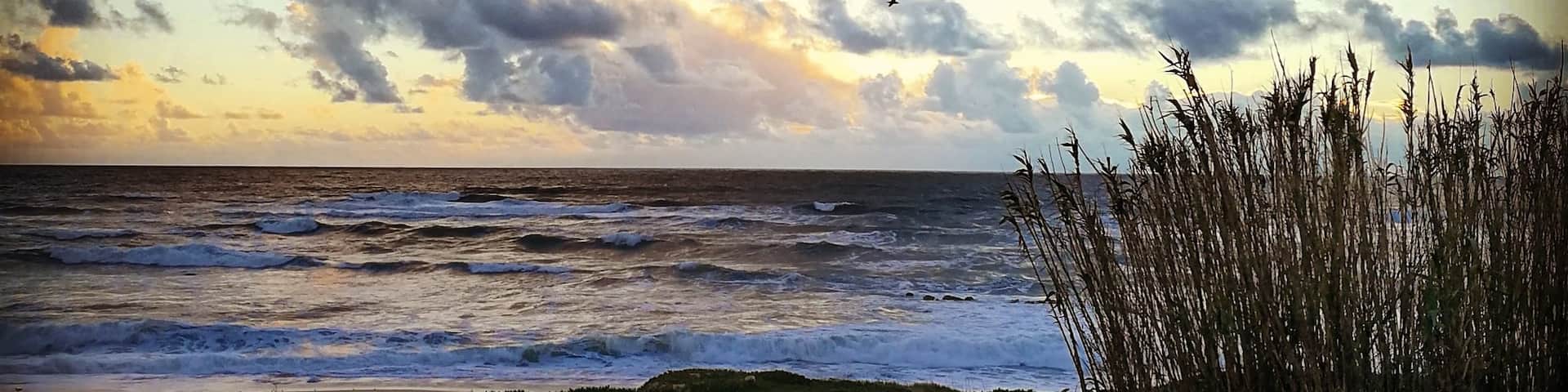 #beach #beautiful  #pretty    
#sunset
#clouds
#homesweethome