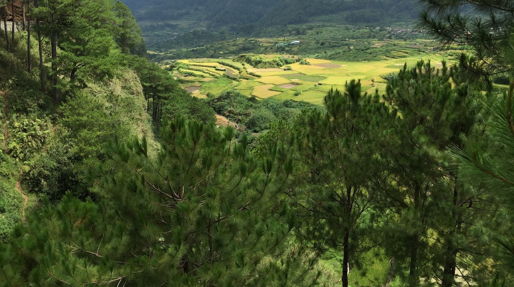 Sadanga, Cordillera Administrative Region, Philippines