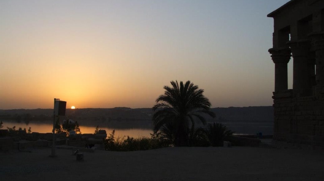 Photo by Joanna Boyle