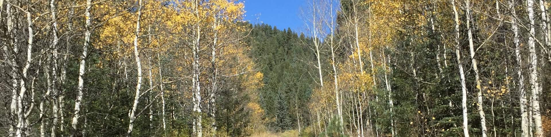 This trail that takes hikers through the Pecos River Valley offers beautiful views of the Pecos National Wilderness Area northeast of Santa Fe, NM