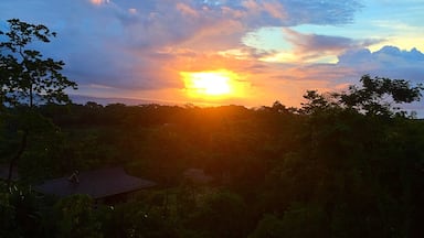 One of the most beautiful sunrises I have ever seen!! Listening to the rainforest come alive was unforgettable! 