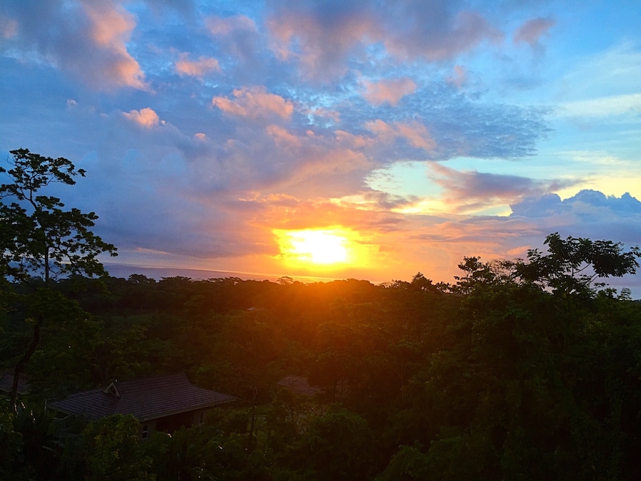 One of the most beautiful sunrises I have ever seen!! Listening to the rainforest come alive was unforgettable!
