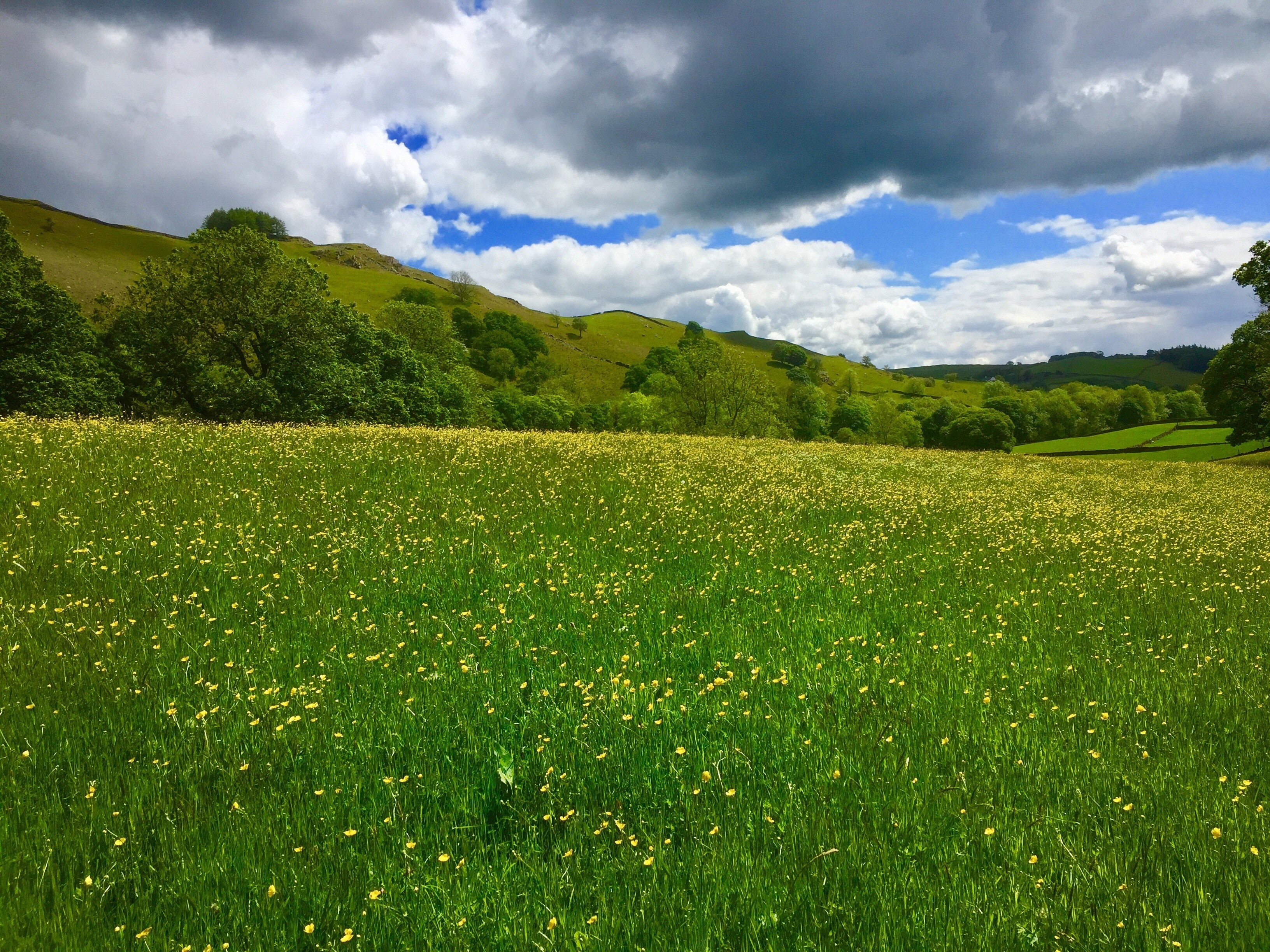 Foto av Kathy Appleby