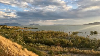 Utah Lake. So many people live right on its edge, yet it hardly gets any attention. #trovember