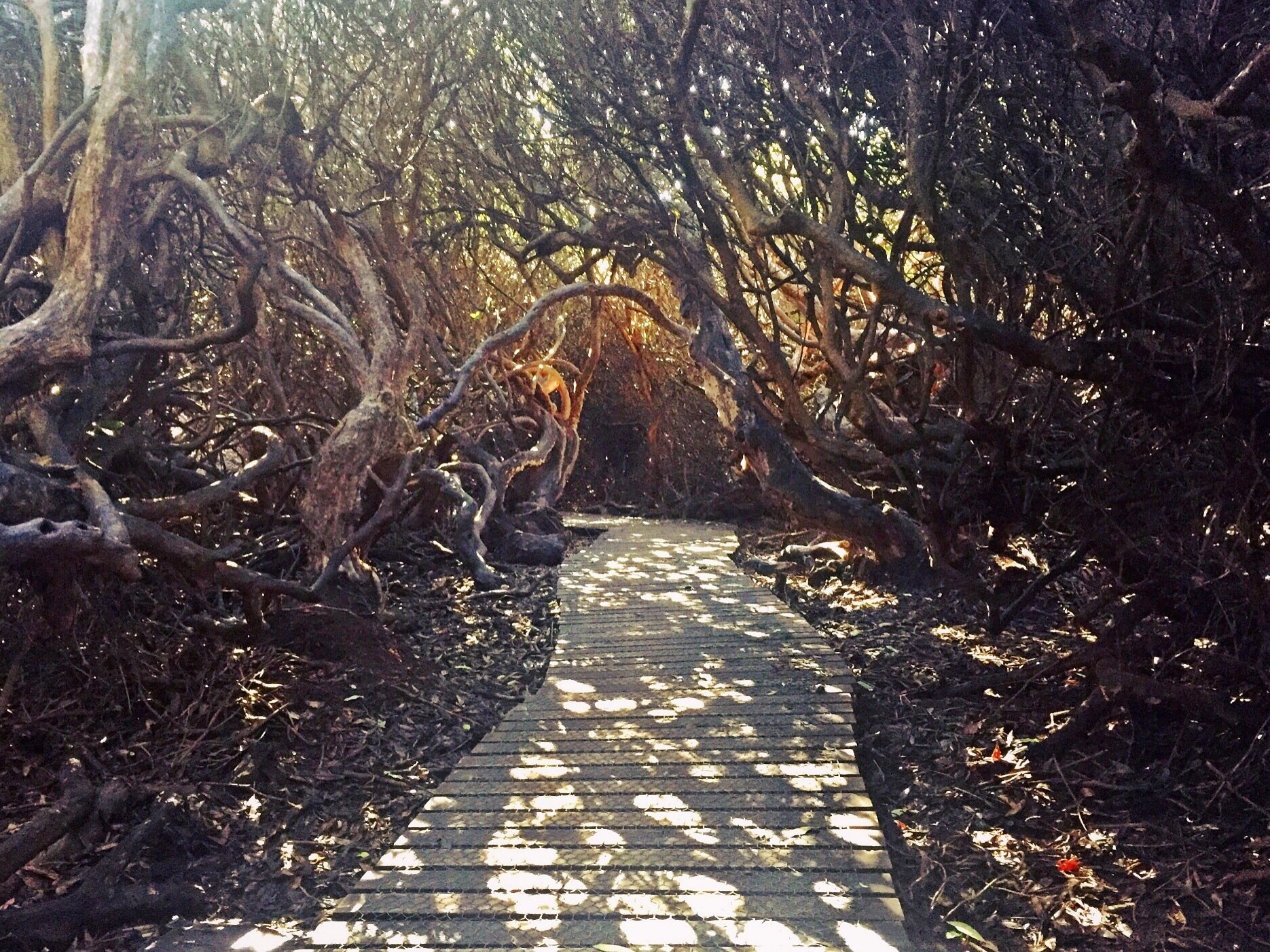 Woodhouse Eaves, Loughborough Vacation Rentals villa rentals & more Vrbo