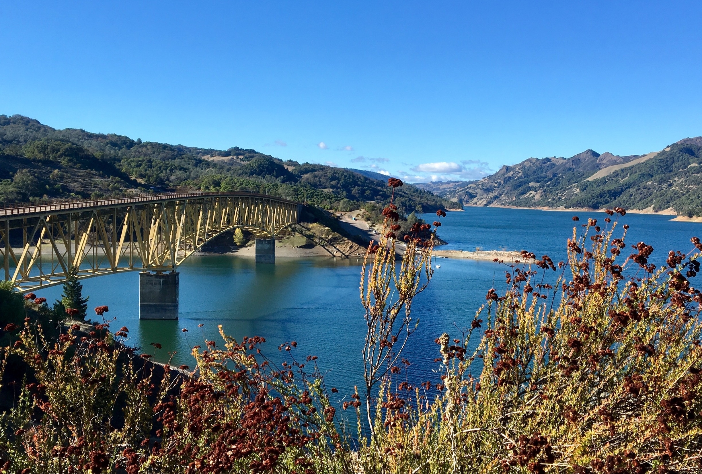 Pretty, clear day at Lake Sonoma. 

This is a man made reservoir in the middle of Sonoma wine country. An old town complete with a hot springs resort was flooded during the process of creating it.  Coho Salmon and Steelhead Trout are bred at the fishery here. 
#Bridges
#Blue #California #Water