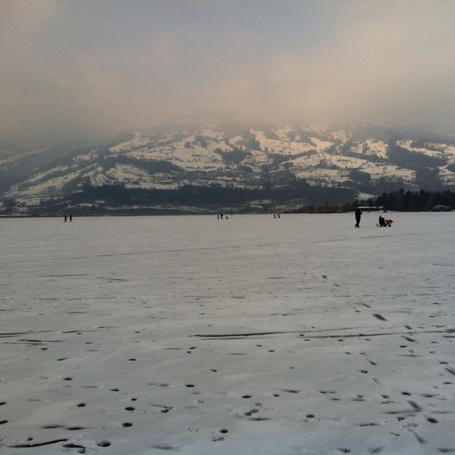Schwanau Insel