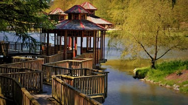 600 hectares de nature, barques romantique, jardins en folies. Des sentiers offrant surprises en tout genre ; vues panoramiques, cascades, rêveries, Mini-roulottes, Pagides chinoise et tant d'autres. Le calme absolu défini le Domaine de Chevetogne. 