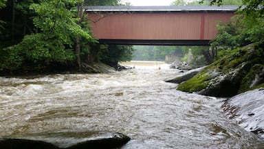 Down river from the bridge. Easy access to the state park.