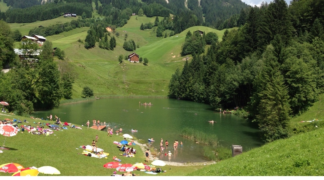 Fontanella, Vorarlberg, Österreich