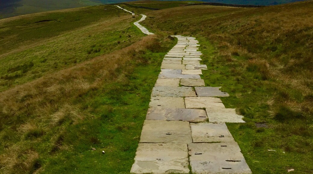 Foto tomada por Kathy Appleby