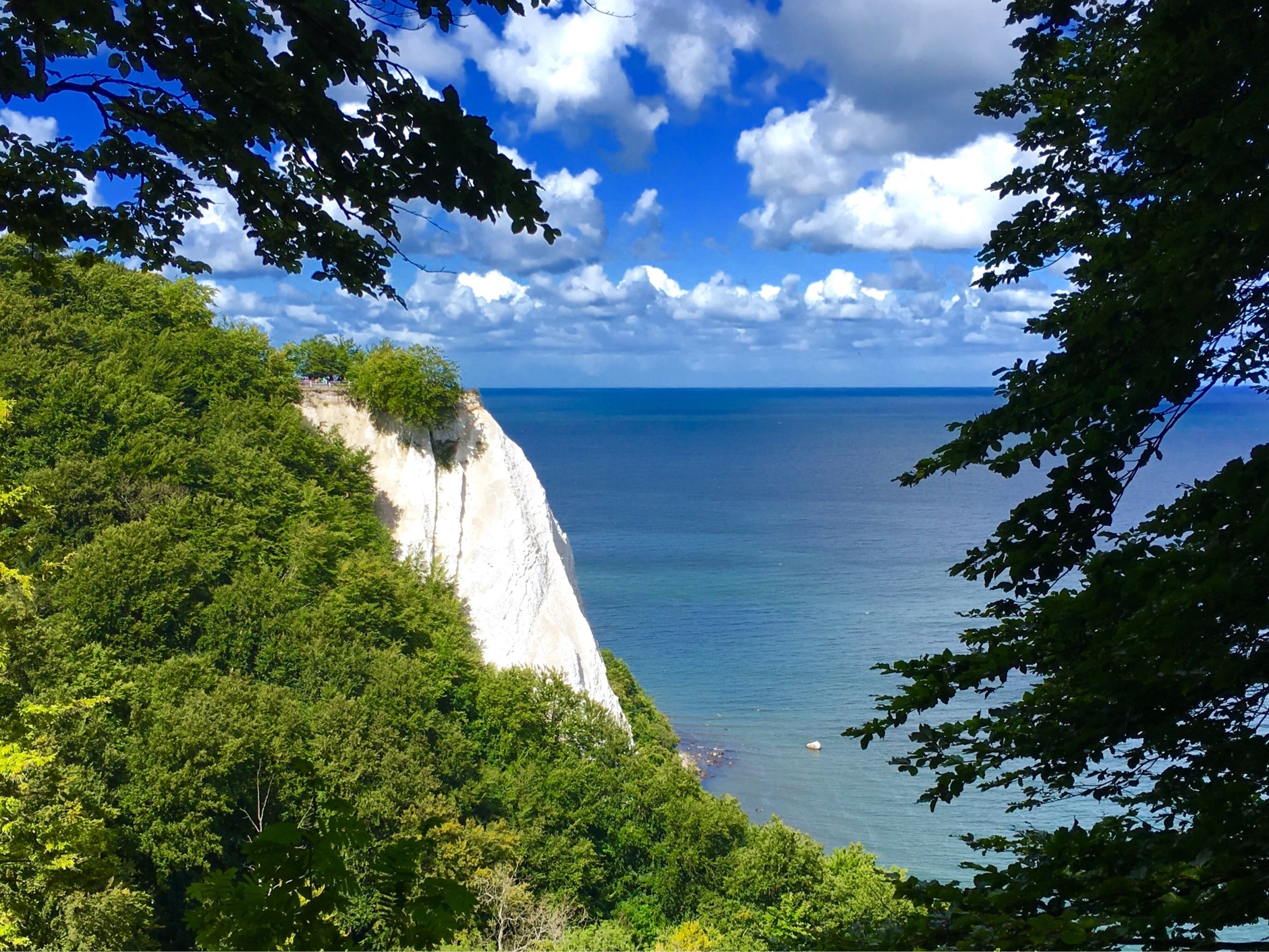 The King's Chair (Königsstuhl) is the highest chalk cliff on the Stubbenkammer (118m) in the Jasmund National Park on the island of Rügen, Baltic Sea
#green
