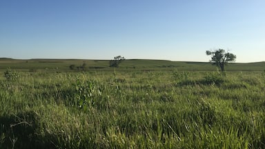 Beautiful place to explore the subtle beauty of the Flint Hills of Kansas. Especially beautiful near dawn and dusk when the shadows accentuate the curve of the land. 