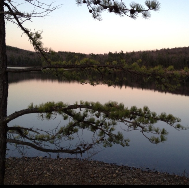 One of Connecticut's state parks that has some of the most beautiful views. You can enjoy a picnic with the family, hike through one of the many trails or swim, fish, or kayak in the serene waters. This picture was taken off one of the small islands (not privately owned) located in the middle of Mashapaug Lake