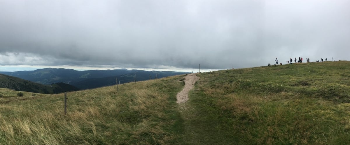 Panoramic view