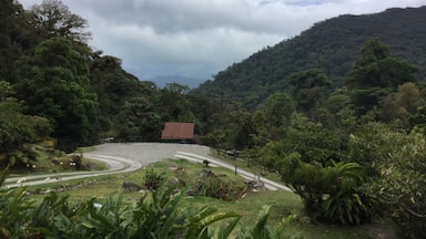 One of the most exciting destinations in Panama’s Chiriqui Highlands, this property offers canopy, Geisha coffee, Hanging Bridges, Bird watching and Tea Tours! #lifeatexpedia