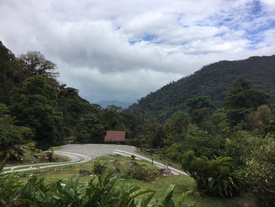One of the most exciting destinations in Panama’s Chiriqui Highlands, this property offers canopy, Geisha coffee, Hanging Bridges, Bird watching and Tea Tours! #lifeatexpedia